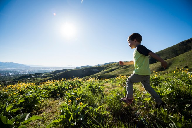 MTittel_20160511_8104035r